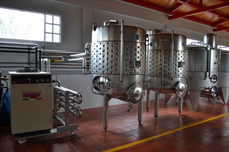 cave-TOURTOUR-min_wine_production_cantine_winery_drink_alcohol_vine_beverage-902036